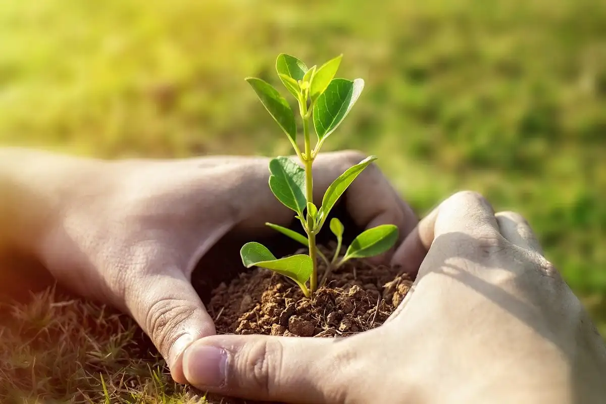 Longevity – Gesundheit bis ins hohe Alter